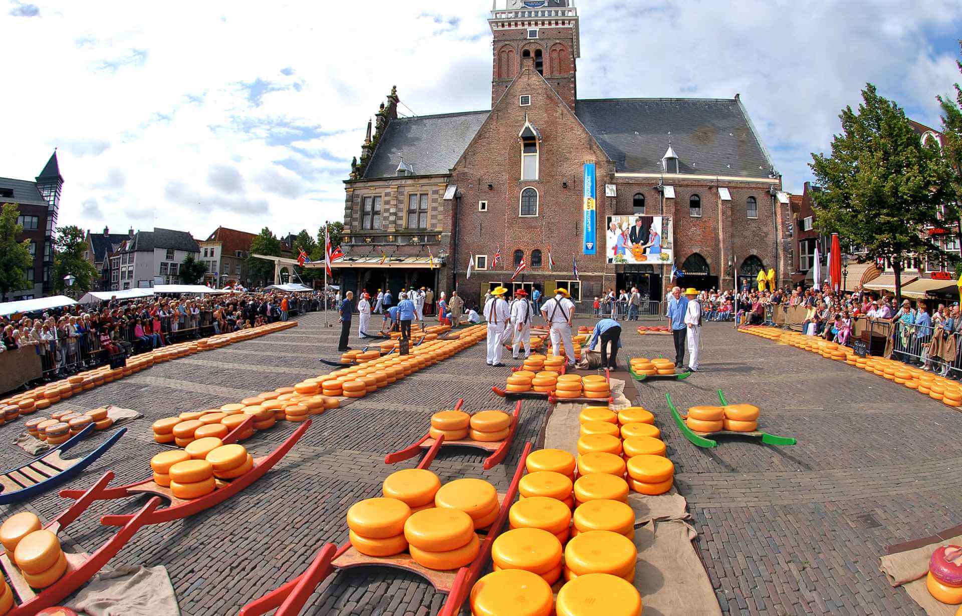 Kaasmarkt-Alkmaar-kazen-grond-