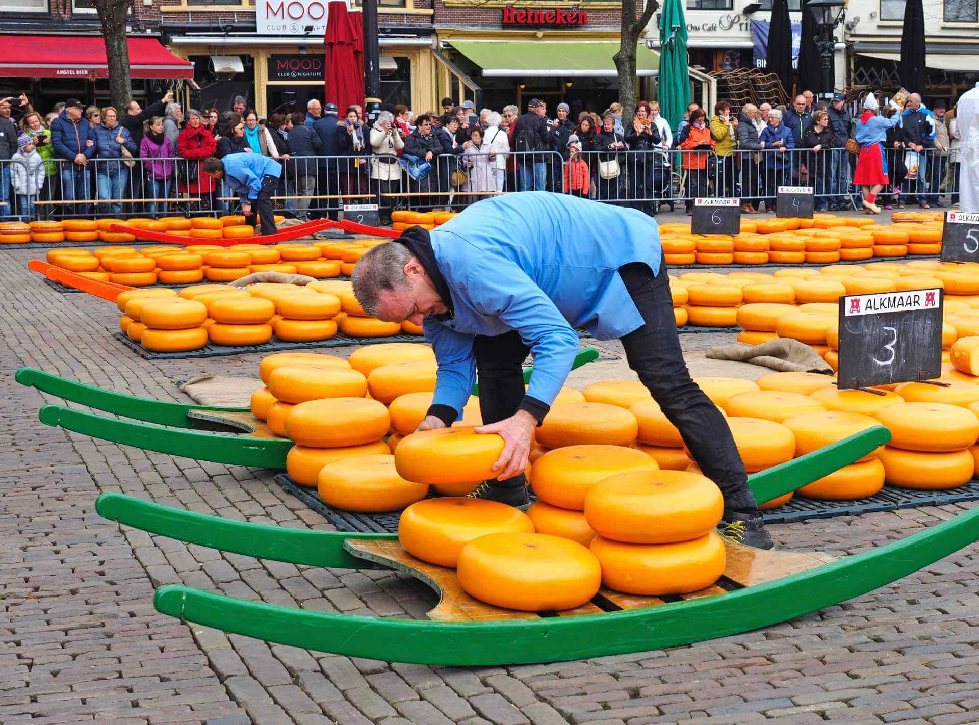 Kaasvader-controleert-de-kazen-in-Alkmaar-kaasmarkt